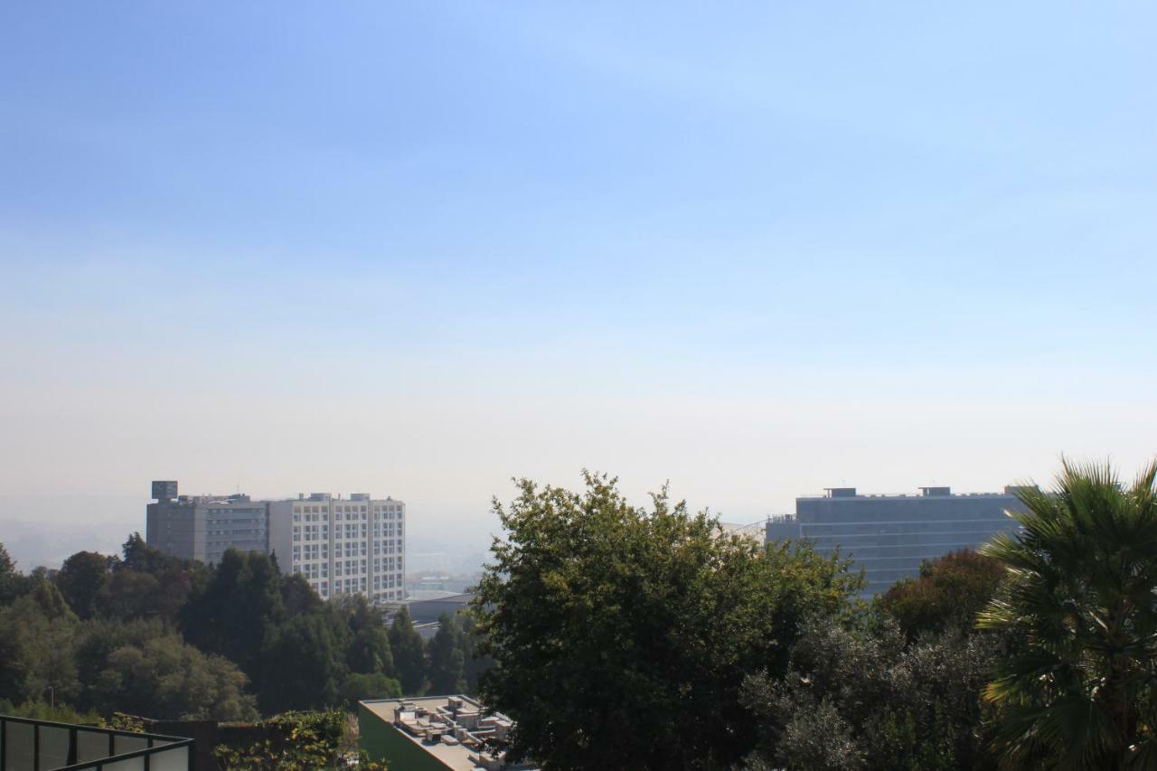 Apartament Flamingo Rose Porto Zewnętrze zdjęcie
